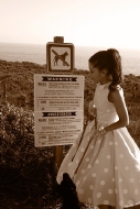 No Dogs Allowed!