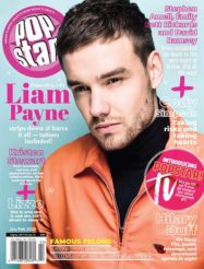 popstar novdec liam payne