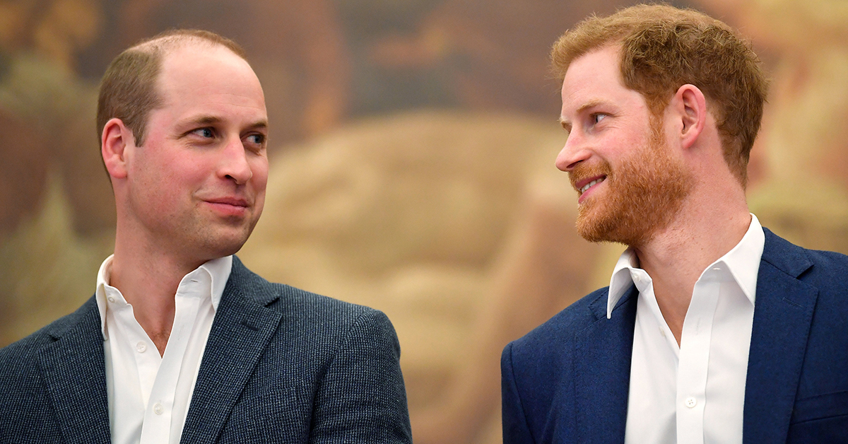 Prince Harry And Prince William Spotted Chatting After Their